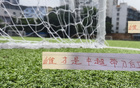 蔣圣龍VS提莫，誰為中超最佳帶刀中衛(wèi)