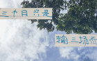 申花8月前僅敗三場，顯露霸氣。