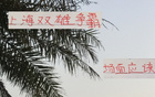 滬申花海港爭(zhēng)霸，雙雄對(duì)攻精彩，馬寧助陣。