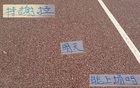 申花喜訊：朱辰杰現(xiàn)身訓(xùn)練，特謝拉缺席德比。