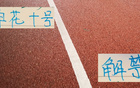 申花特謝拉復出，戰(zhàn)青島海牛，武漢三鎮(zhèn)有望勝出。