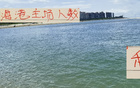 周末海港主場2萬觀眾，申花引領(lǐng)下青島主場多1萬。