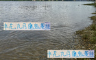 申花九月抉擇：聯(lián)賽亞冠難兩全，需擇一而攻。