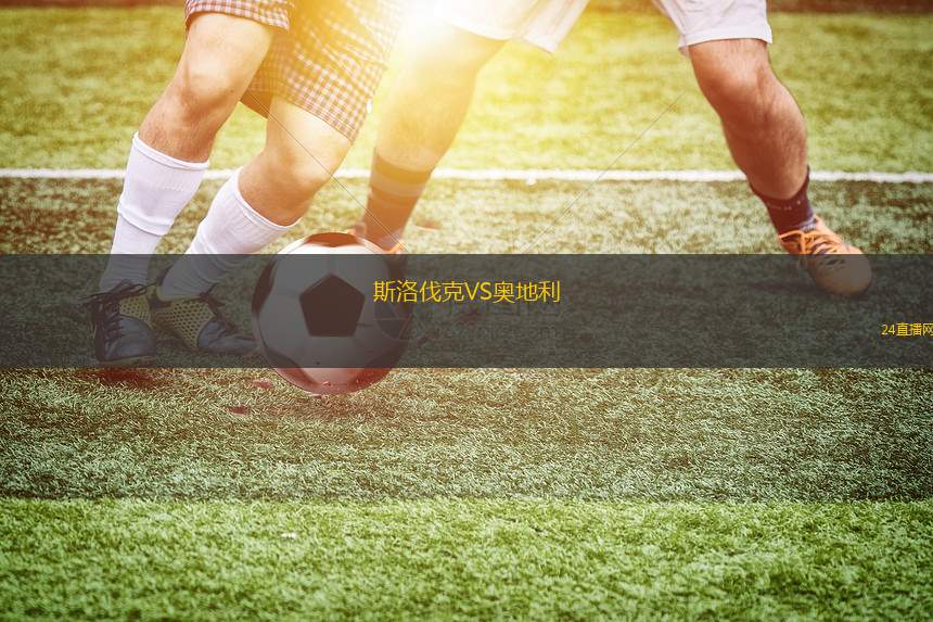 斯洛伐克VS奧地利