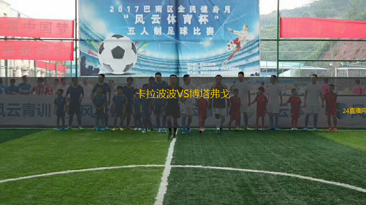 布萊尼VS維京