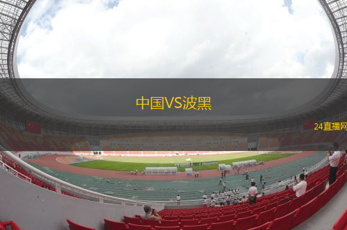 中國VS波黑