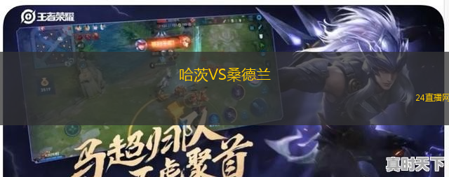 哈茨VS桑德蘭