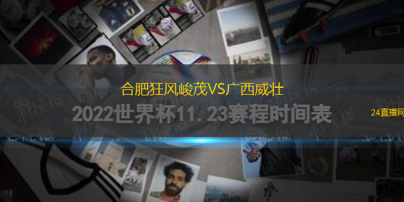 合肥狂風(fēng)峻茂VS廣西威壯