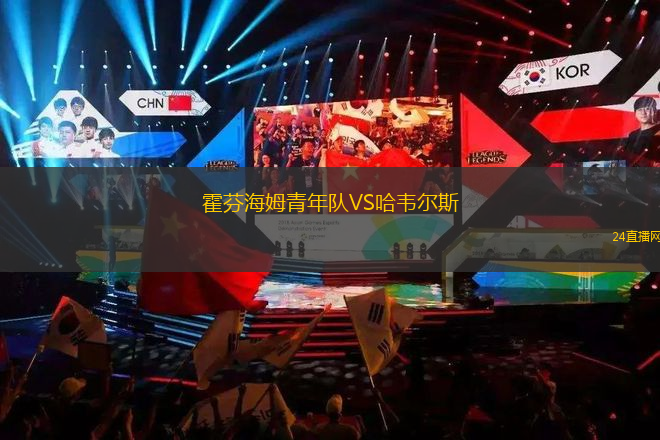 霍芬海姆青年隊VS哈韋爾斯