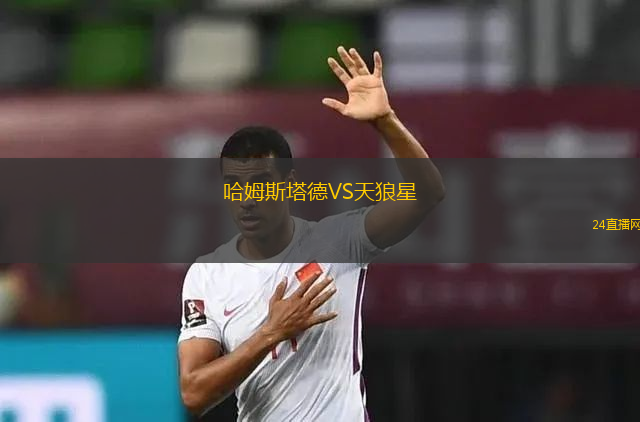 哈姆斯塔德VS天狼星