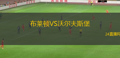 布萊頓VS沃爾夫斯堡