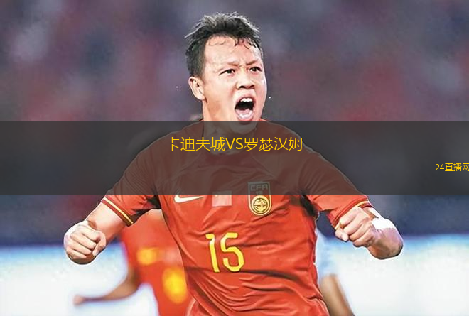 卡迪夫城VS羅瑟漢姆