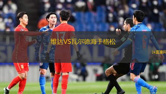 維達(dá)VS瓦爾德海于格松