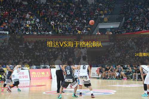 維達(dá)VS海于格松B隊(duì)