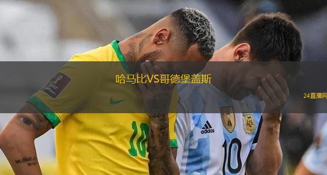 哈馬比VS哥德堡蓋斯