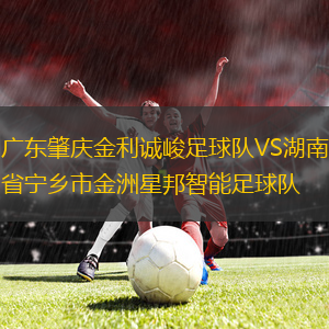 廣東肇慶金利誠(chéng)峻足球隊(duì)VS湖南省寧鄉(xiāng)市金洲星邦智能足球隊(duì)