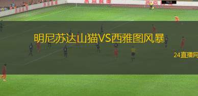 明尼蘇達(dá)山貓VS西雅圖風(fēng)暴