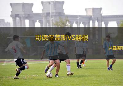 哥德堡蓋斯VS赫根 哥德堡蓋斯VS赫根