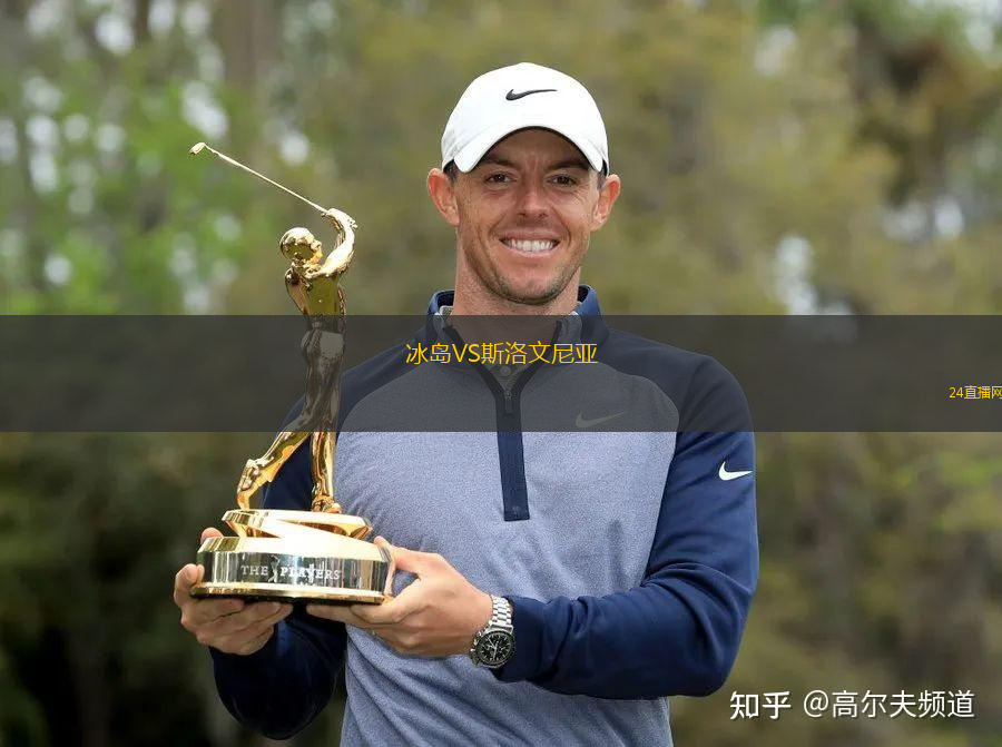 冰島VS斯洛文尼亞 冰島VS斯洛文尼亞