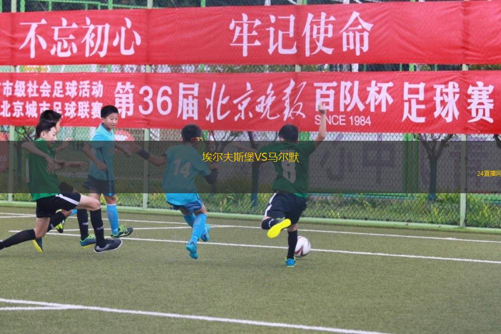 埃爾夫斯堡VS馬爾默 埃爾夫斯堡VS馬爾默