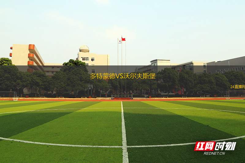 多特蒙德VS沃爾夫斯堡