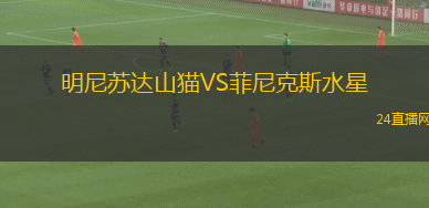 明尼蘇達(dá)山貓VS菲尼克斯水星