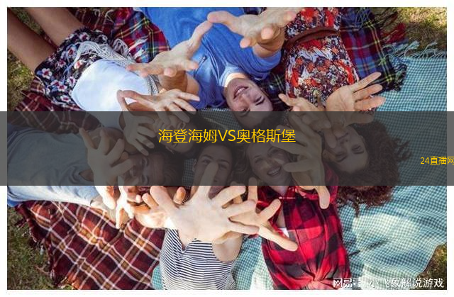 海登海姆VS奧格斯堡