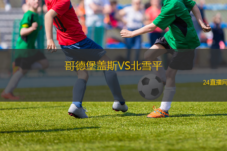 哥德堡蓋斯VS北雪平 哥德堡蓋斯VS北雪平
