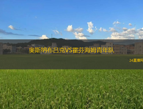 奧斯納布呂克VS霍芬海姆青年隊(duì)