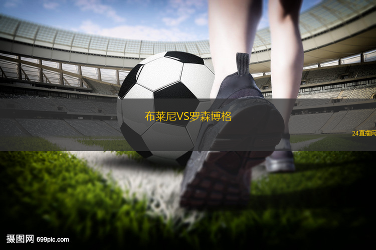 布萊尼VS羅森博格