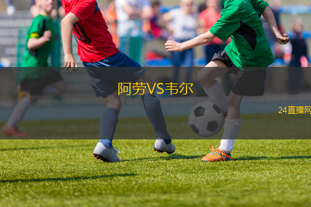 阿勞VS韋爾