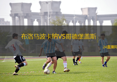 布洛馬波卡納VS哥德堡蓋斯 布洛馬波卡納VS哥德堡蓋斯